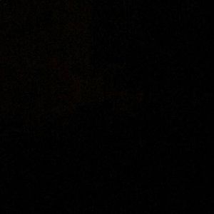 Meet your Posher, Berkley